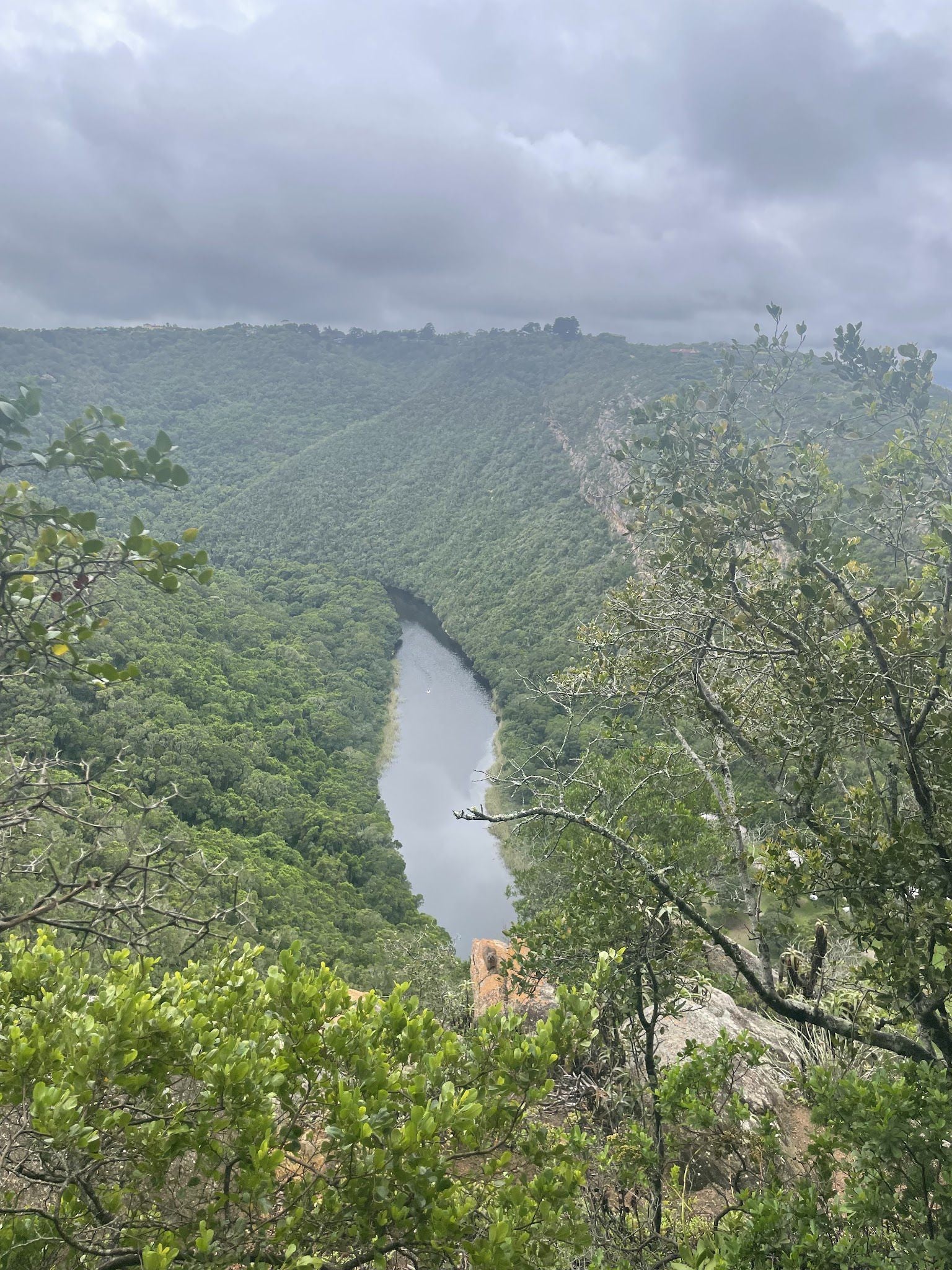  Half Collared Kingfisher Trail Gate (permit required)