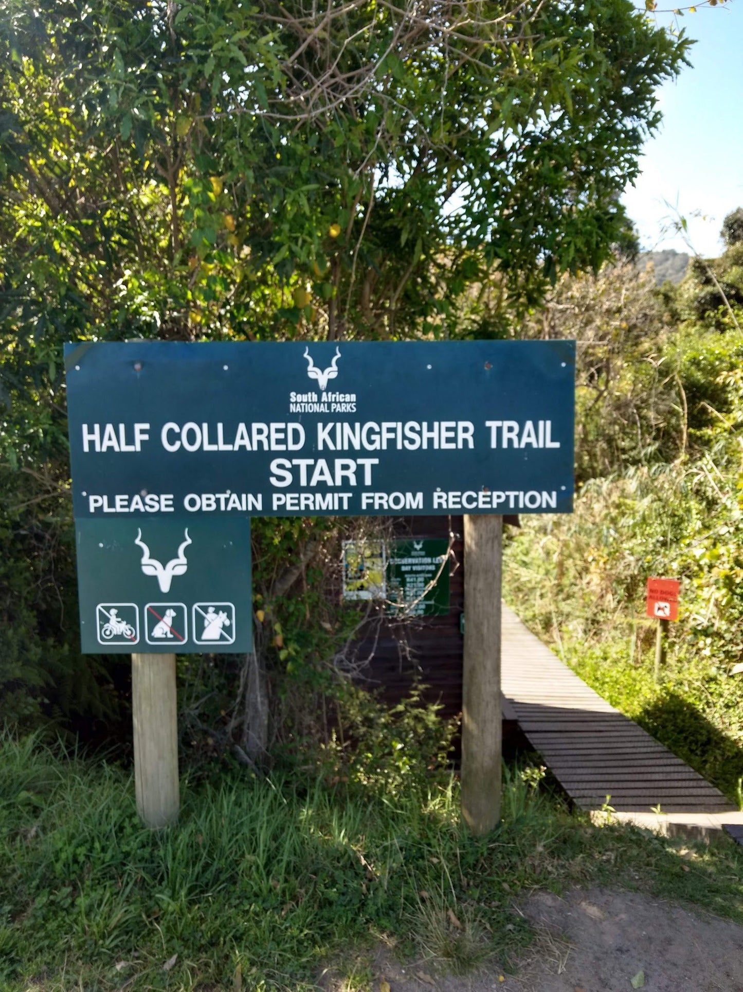  Half Collared Kingfisher Trail Gate (permit required)