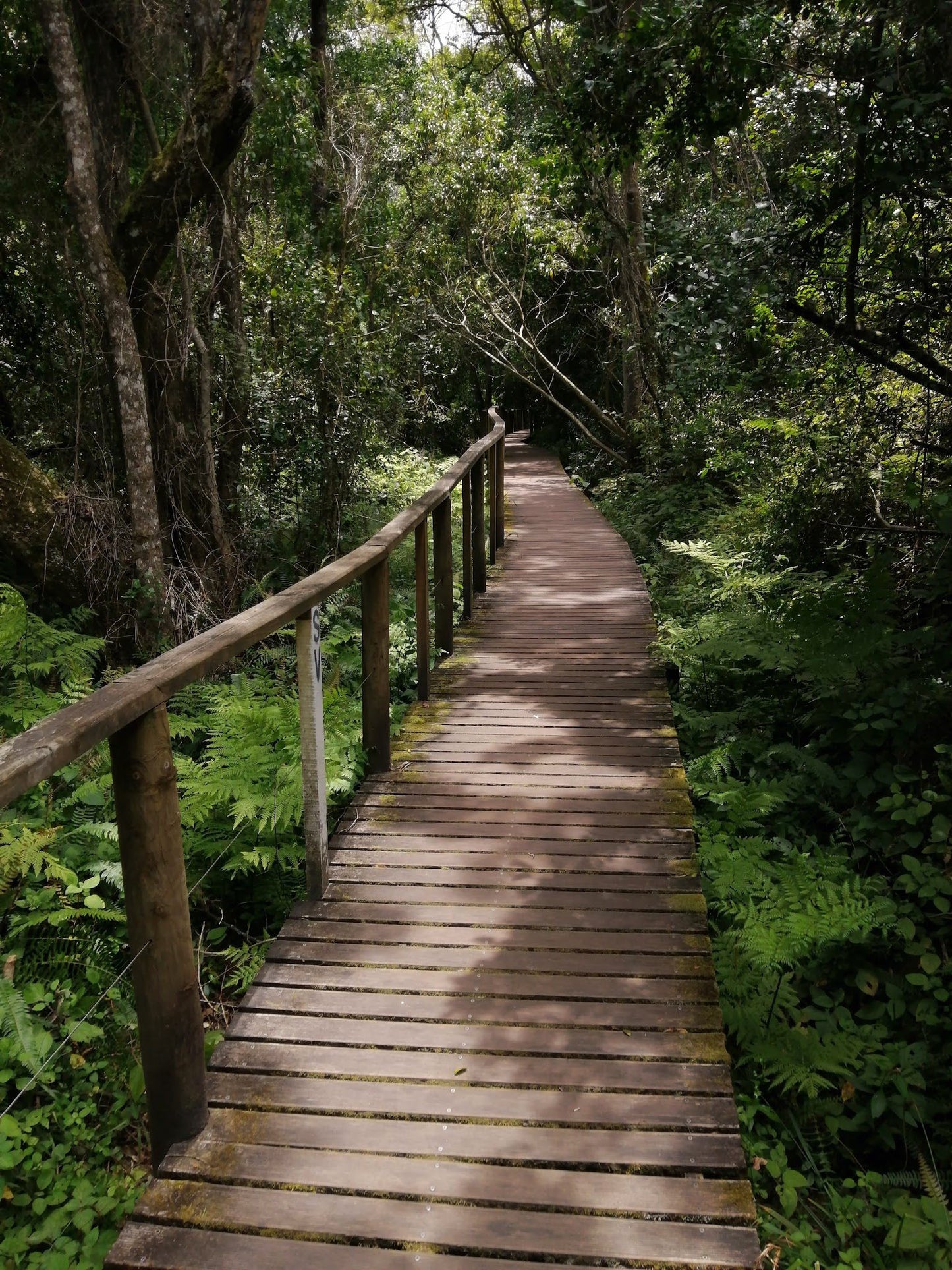  Half Collared Kingfisher Trail Gate (permit required)