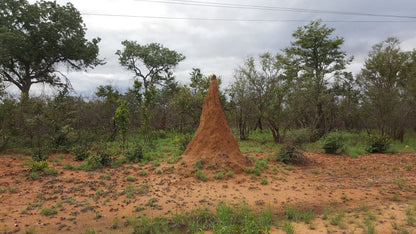  Hans Merensky Nature Reserve