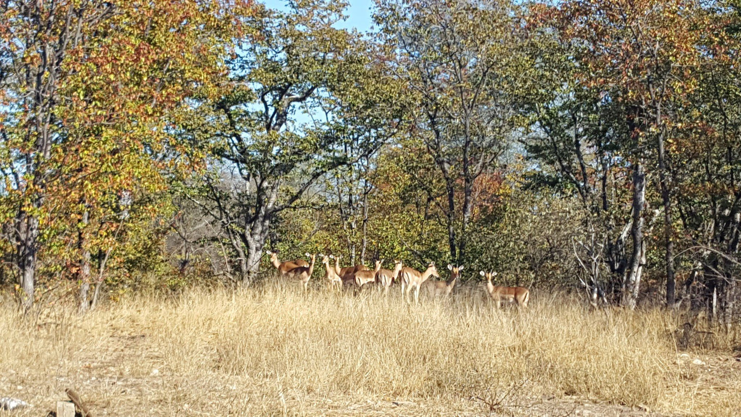  Hans Merensky Nature Reserve