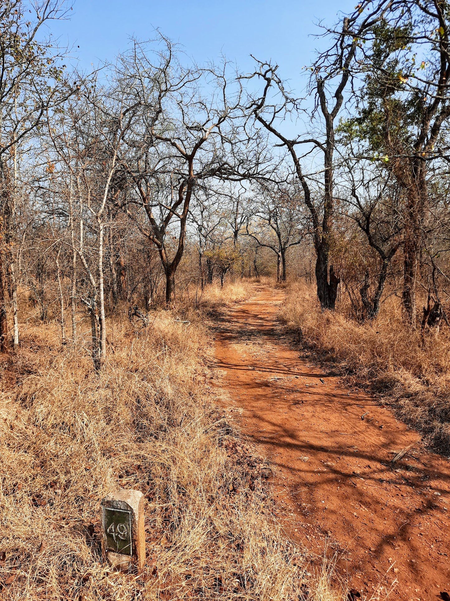  Hans Merensky Nature Reserve