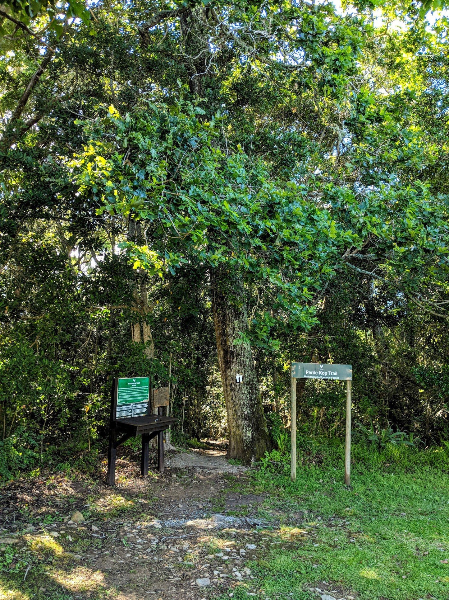 Harkerville Hut