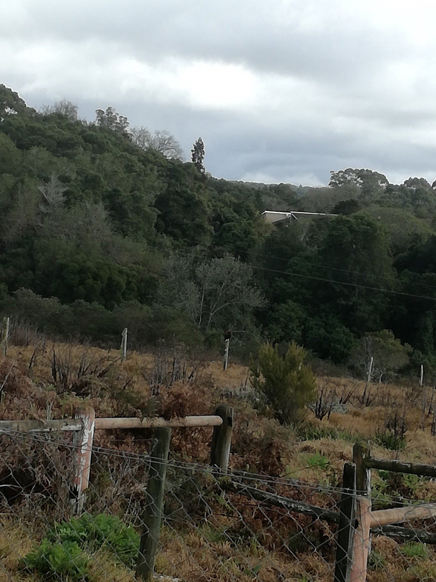 Harkerville Hut