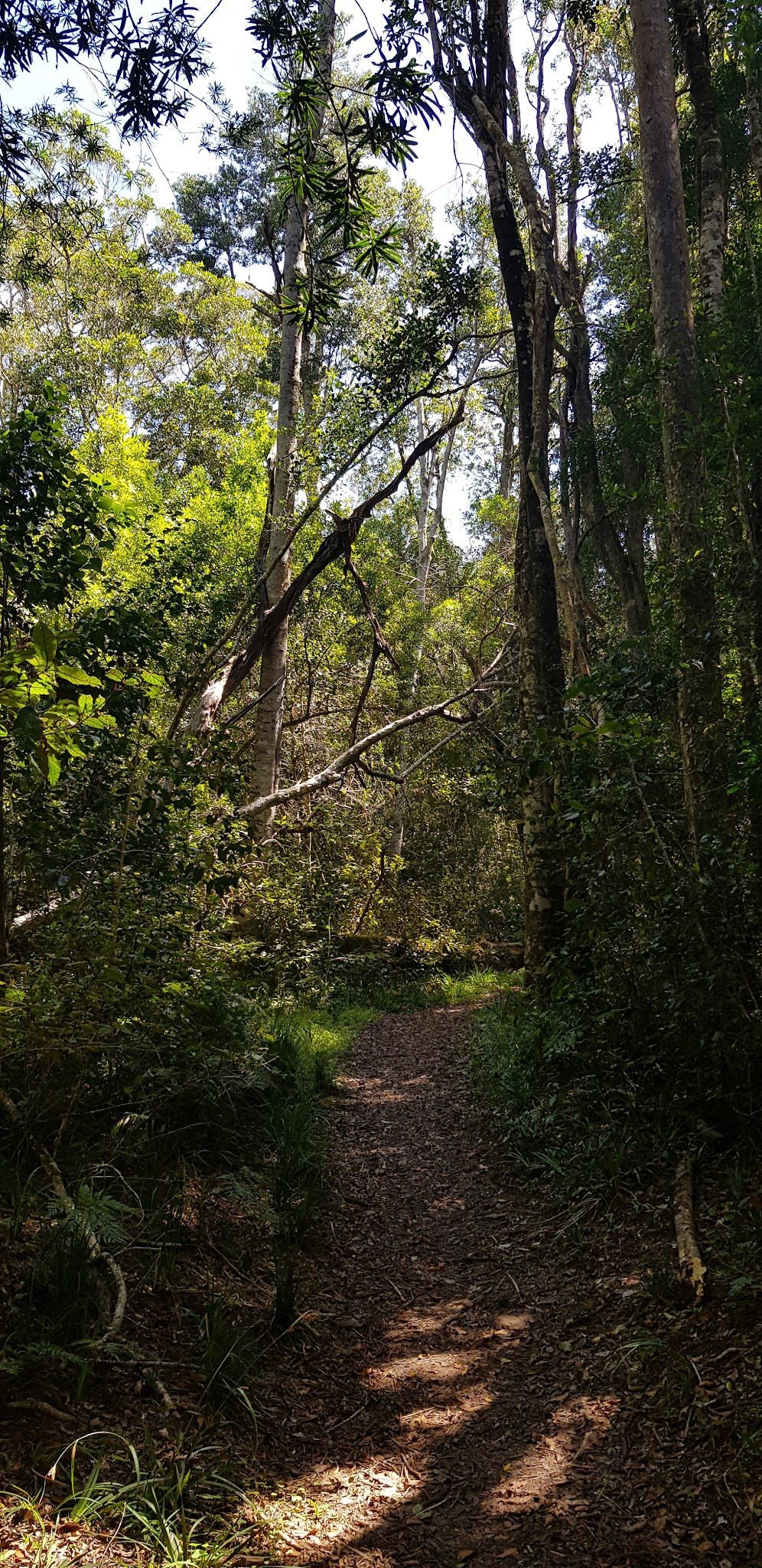 Harkerville Hut