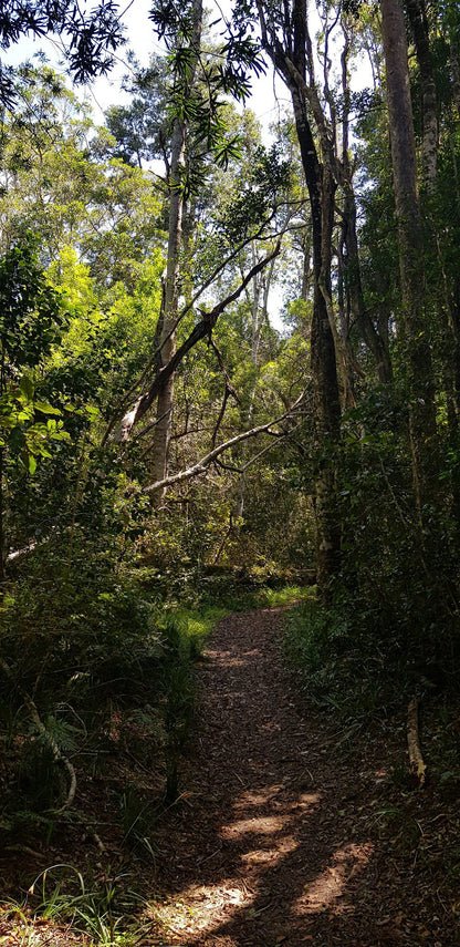 Harkerville Hut