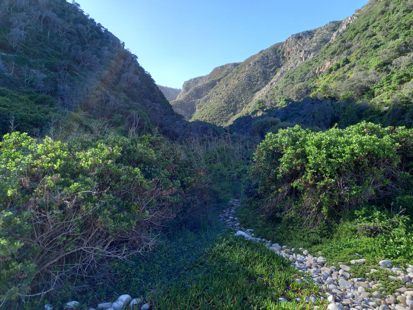  Harkerville Kranshoek Viewpoint