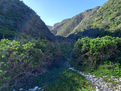  Harkerville Kranshoek Viewpoint