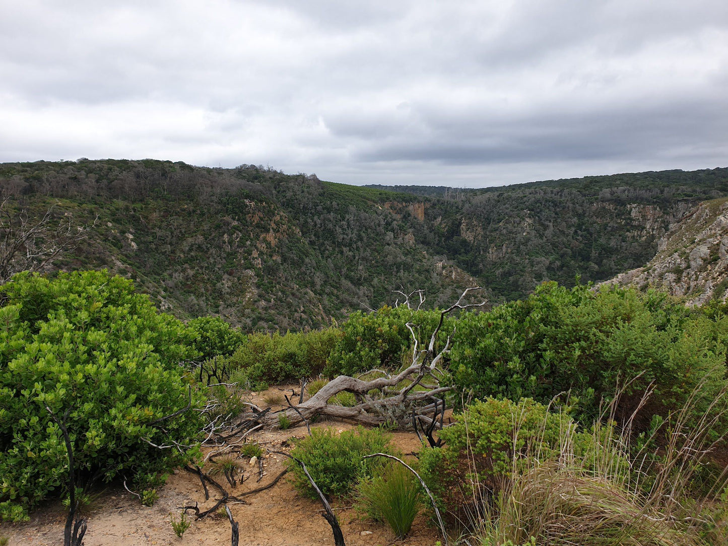  Harkerville Kranshoek Viewpoint