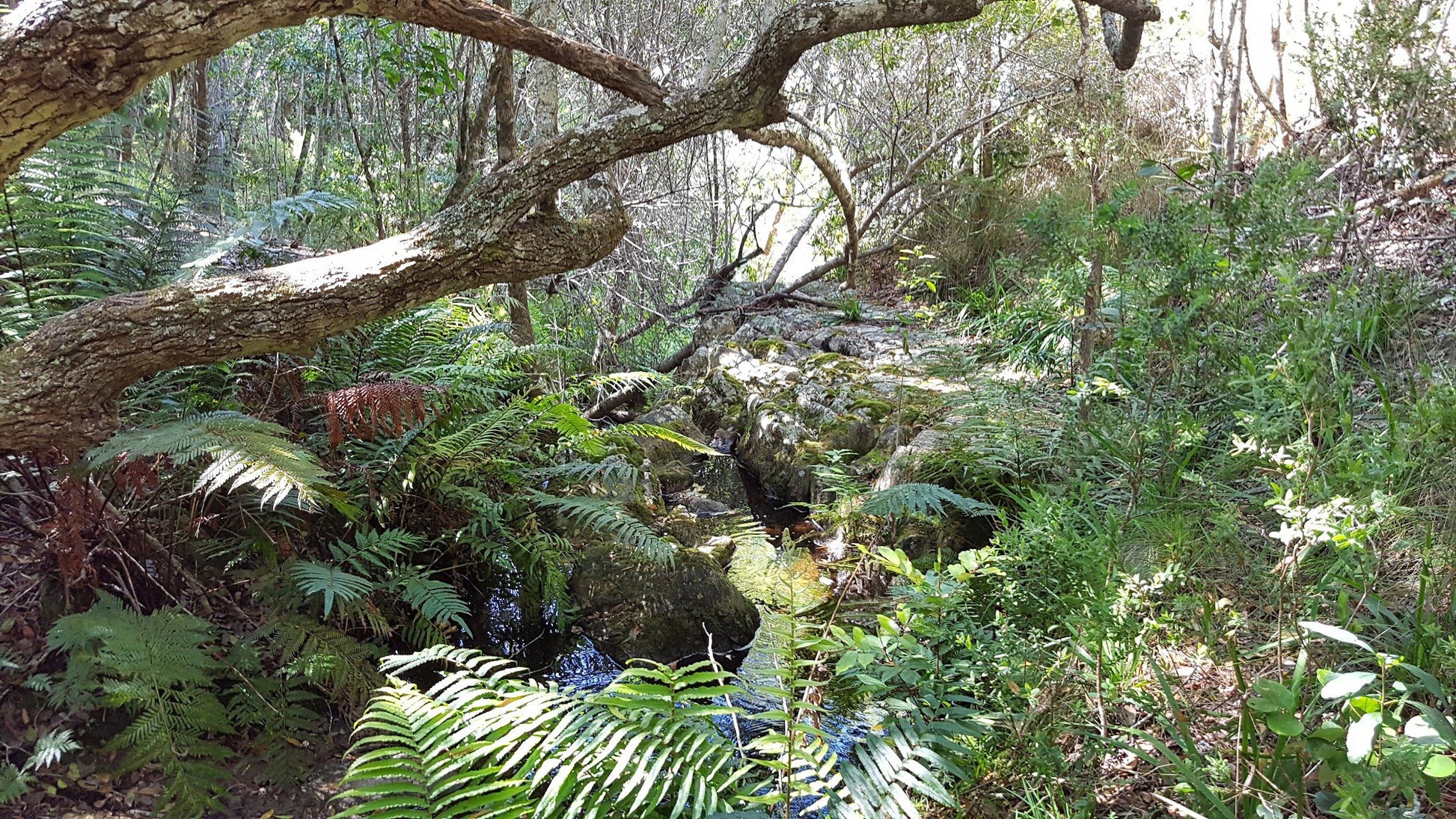  Harkerville Kranshoek Viewpoint