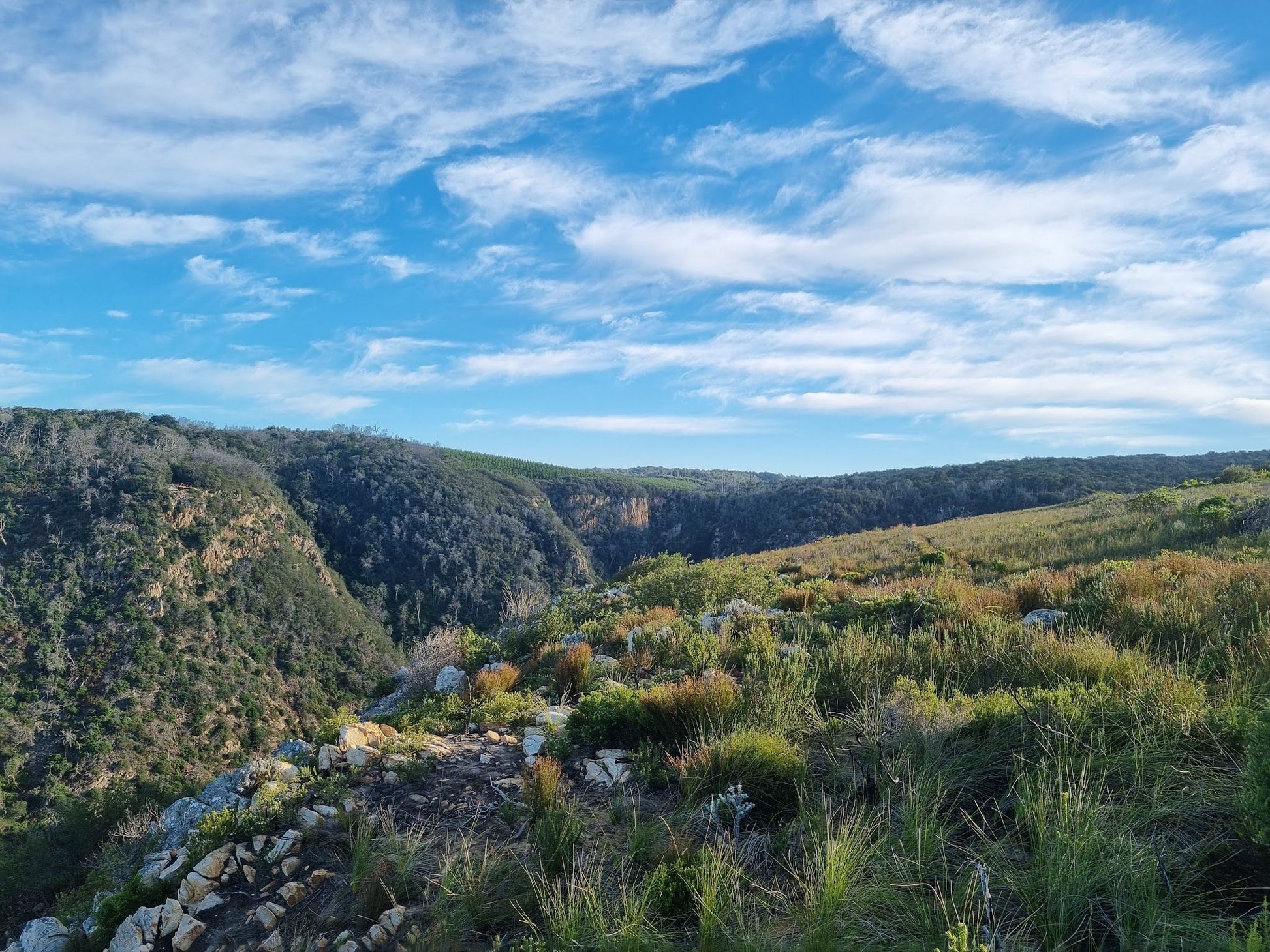  Harkerville Kranshoek Viewpoint