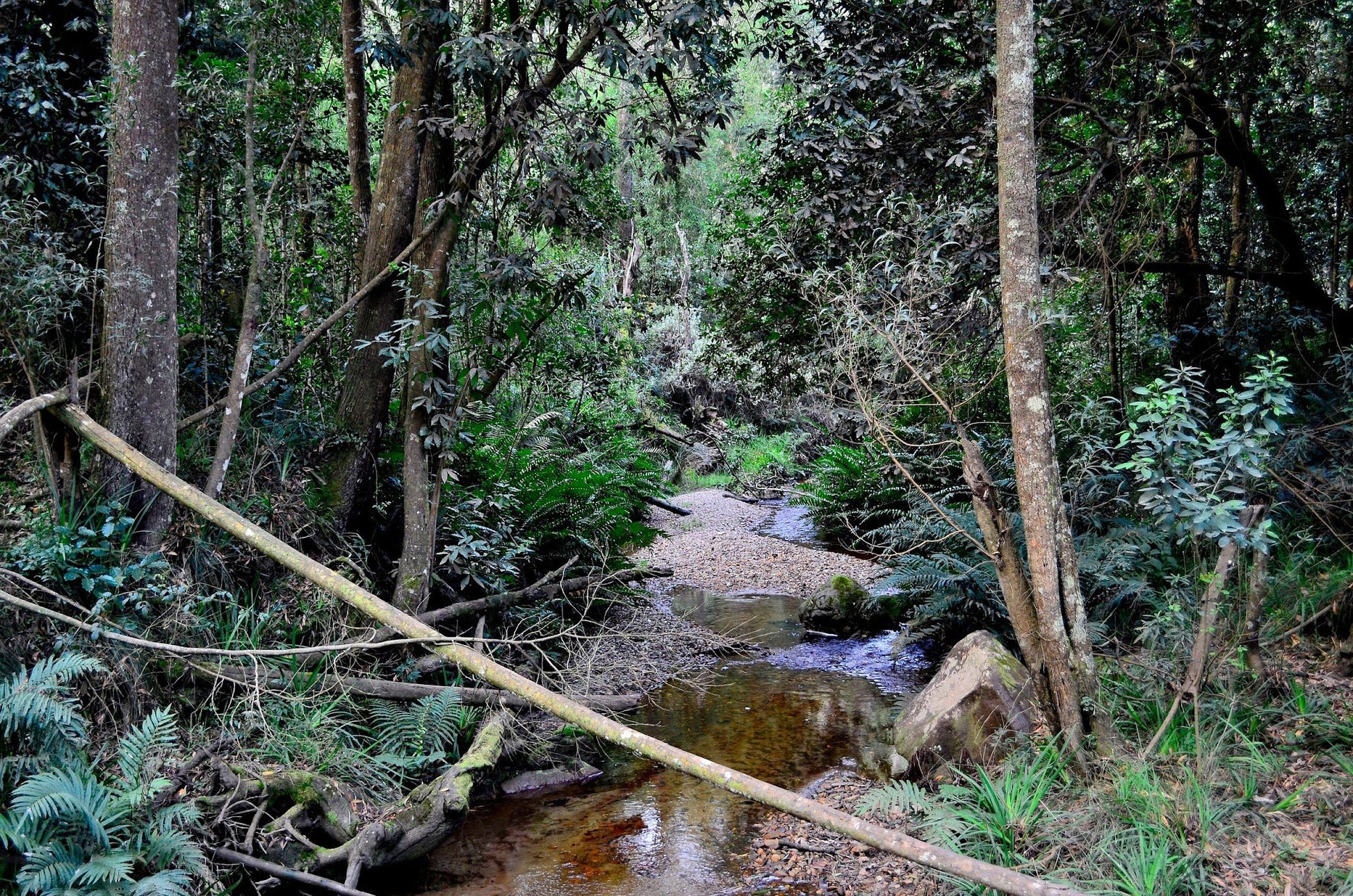  Harkerville Kranshoek Viewpoint