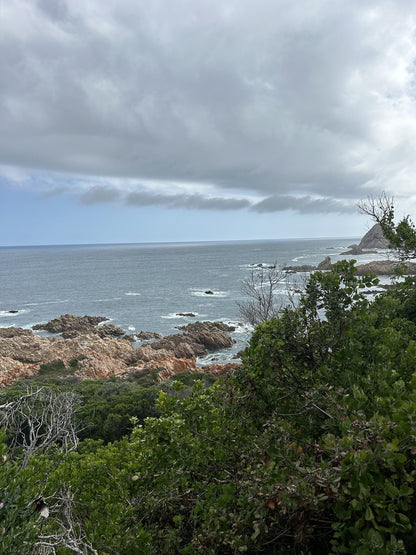  Harkerville Kranshoek Viewpoint