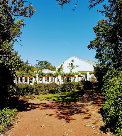  Hartenberg Wine Estate