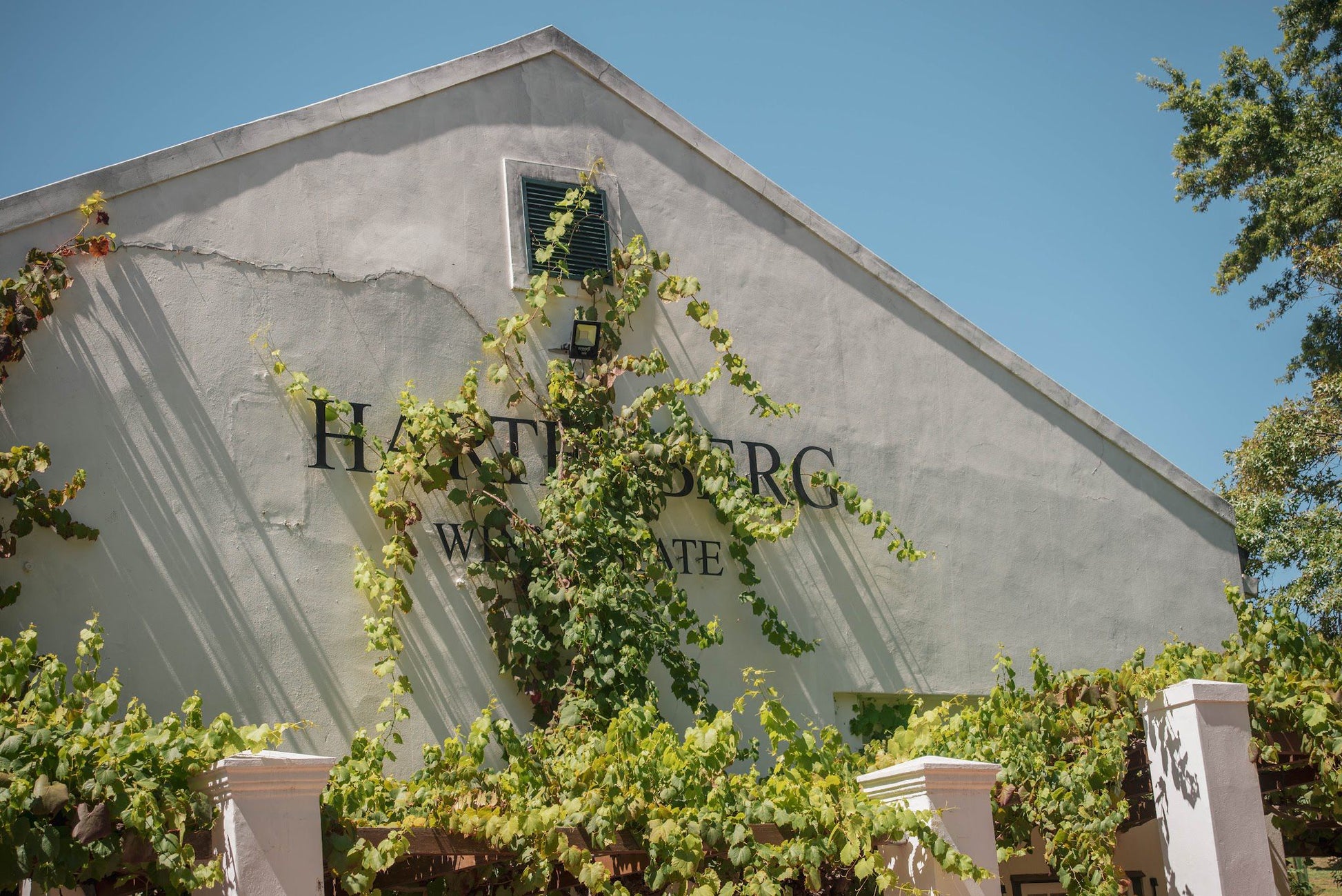  Hartenberg Wine Estate