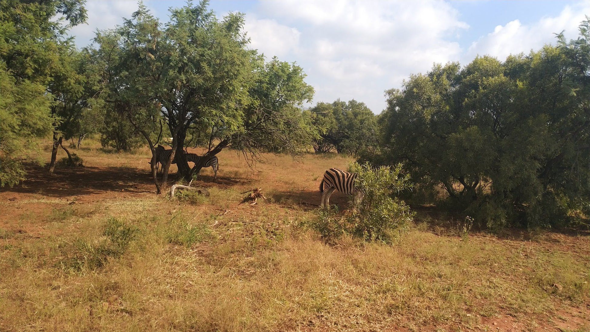  Harties Horse and Trail Safaris