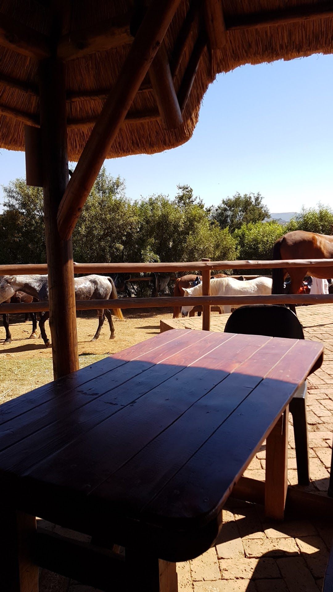  Harties Horse and Trail Safaris