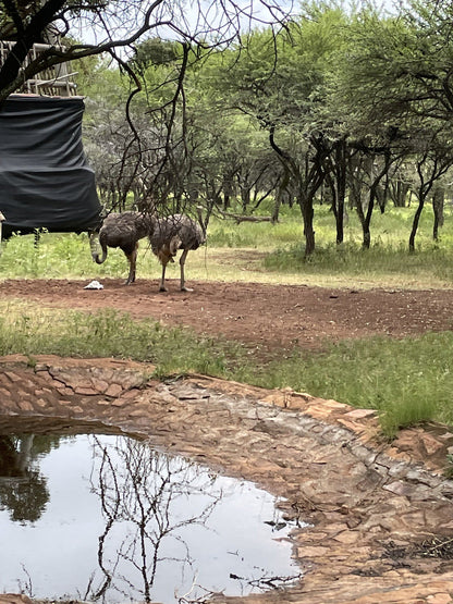  Harties Horse and Trail Safaris