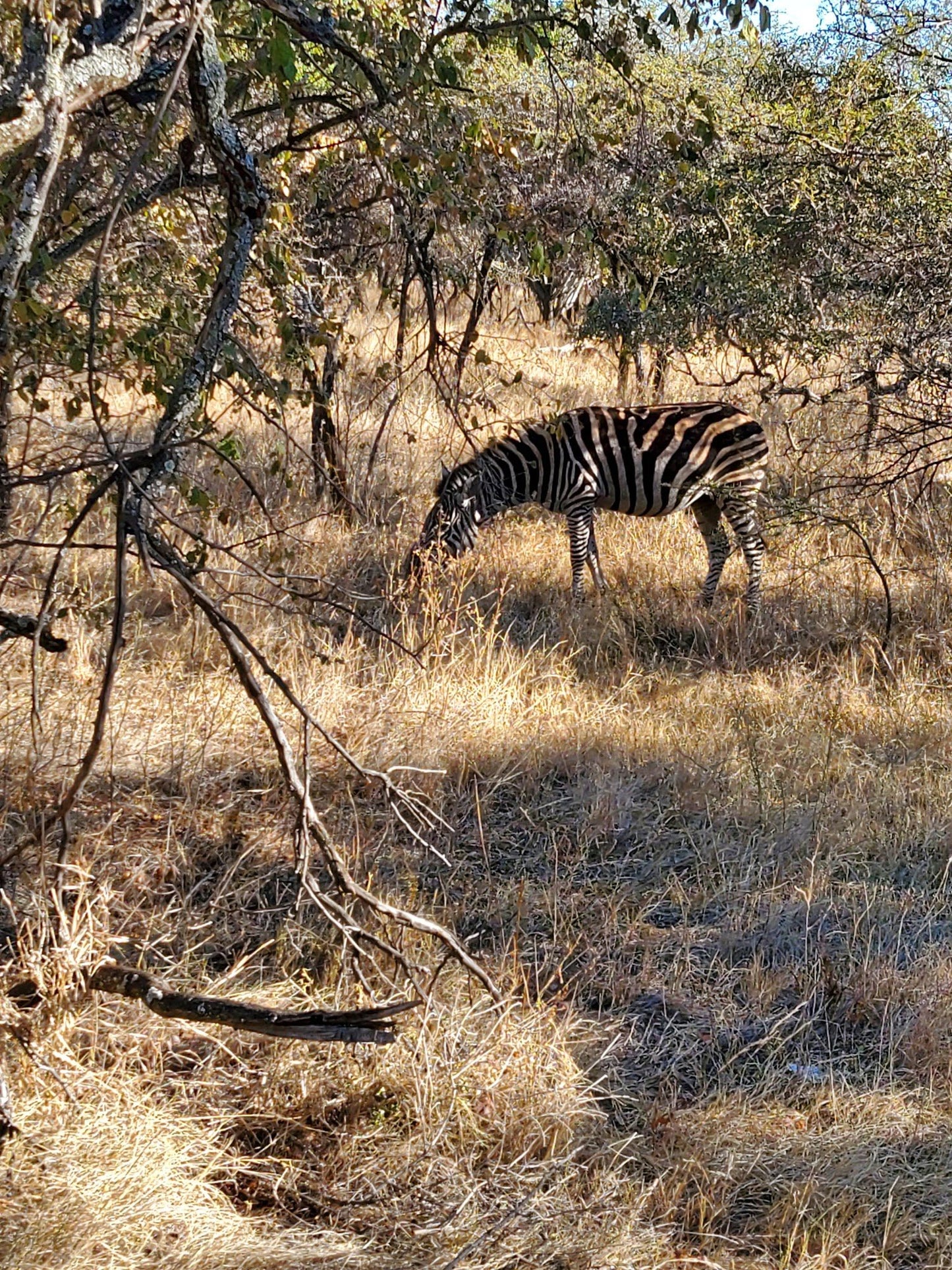  Harties Horse and Trail Safaris