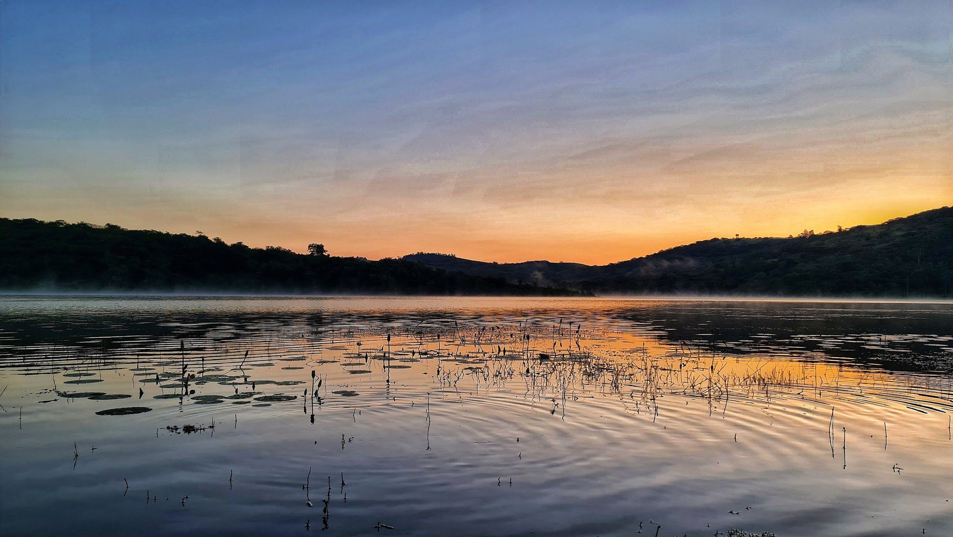  Hazelmere Dam and Nature Reserve