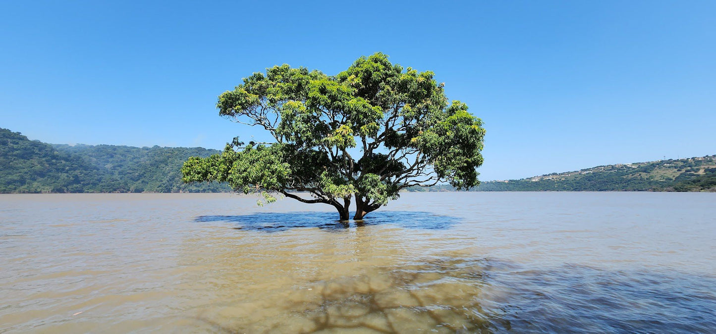  Hazelmere Dam and Nature Reserve