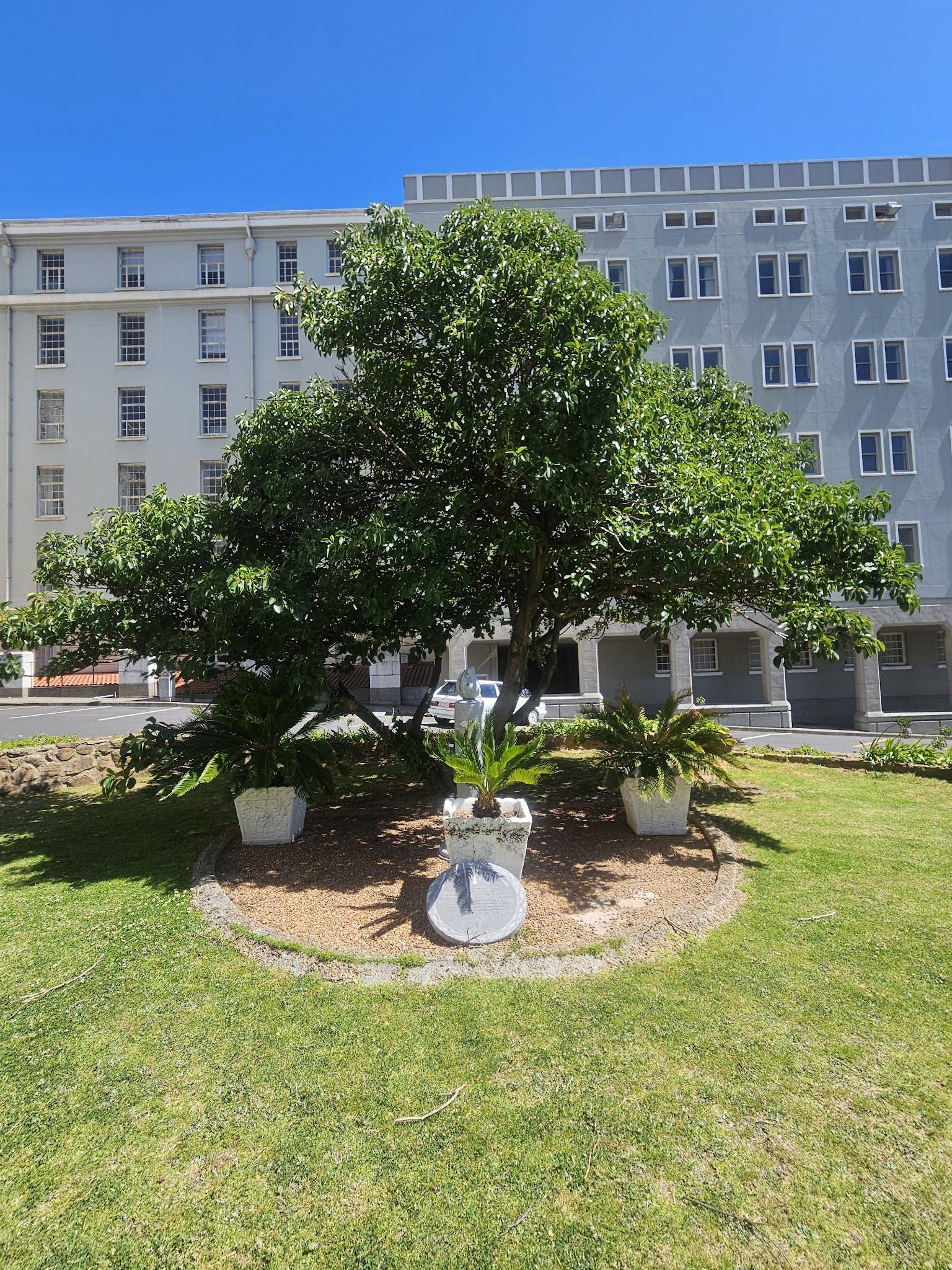  Heart of Cape Town Museum