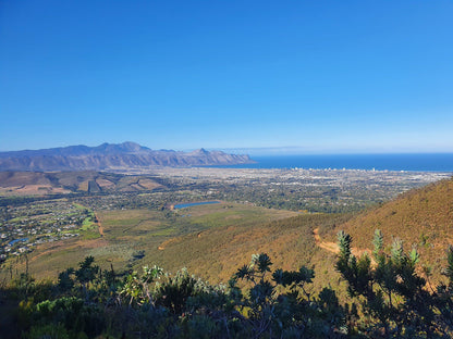 Helderberg Disa Kloof