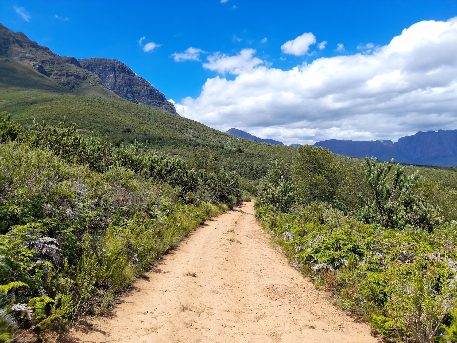  Helderberg Nature Reserve