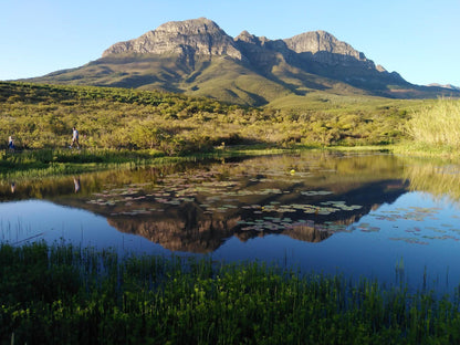  Helderberg Nature Reserve