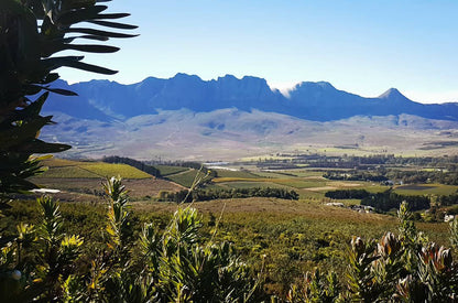  Helderberg Nature Reserve