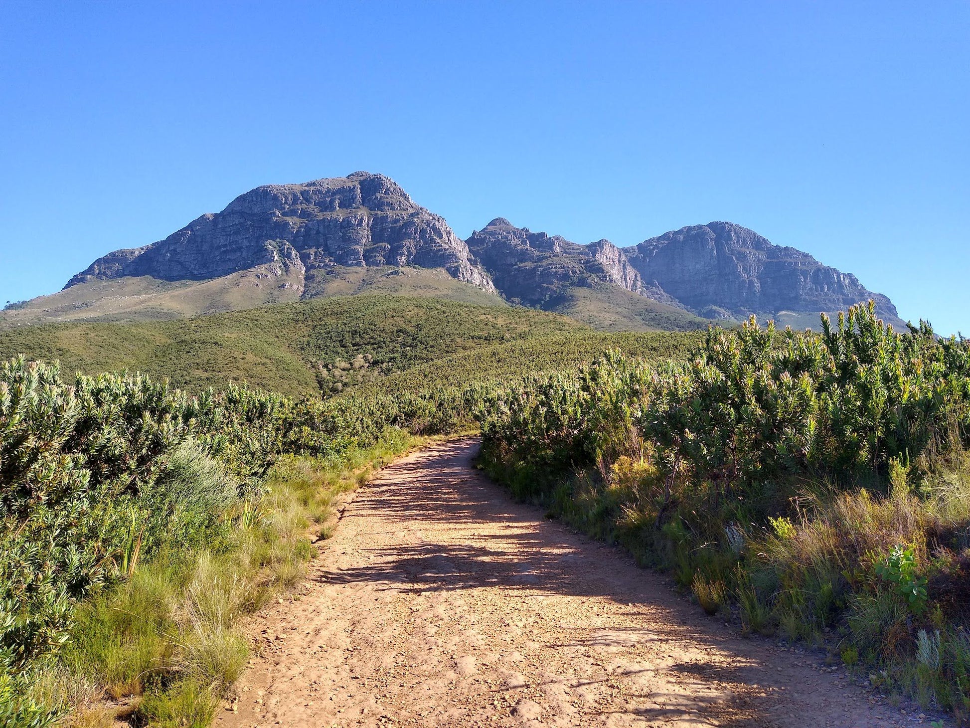  Helderberg Nature Reserve