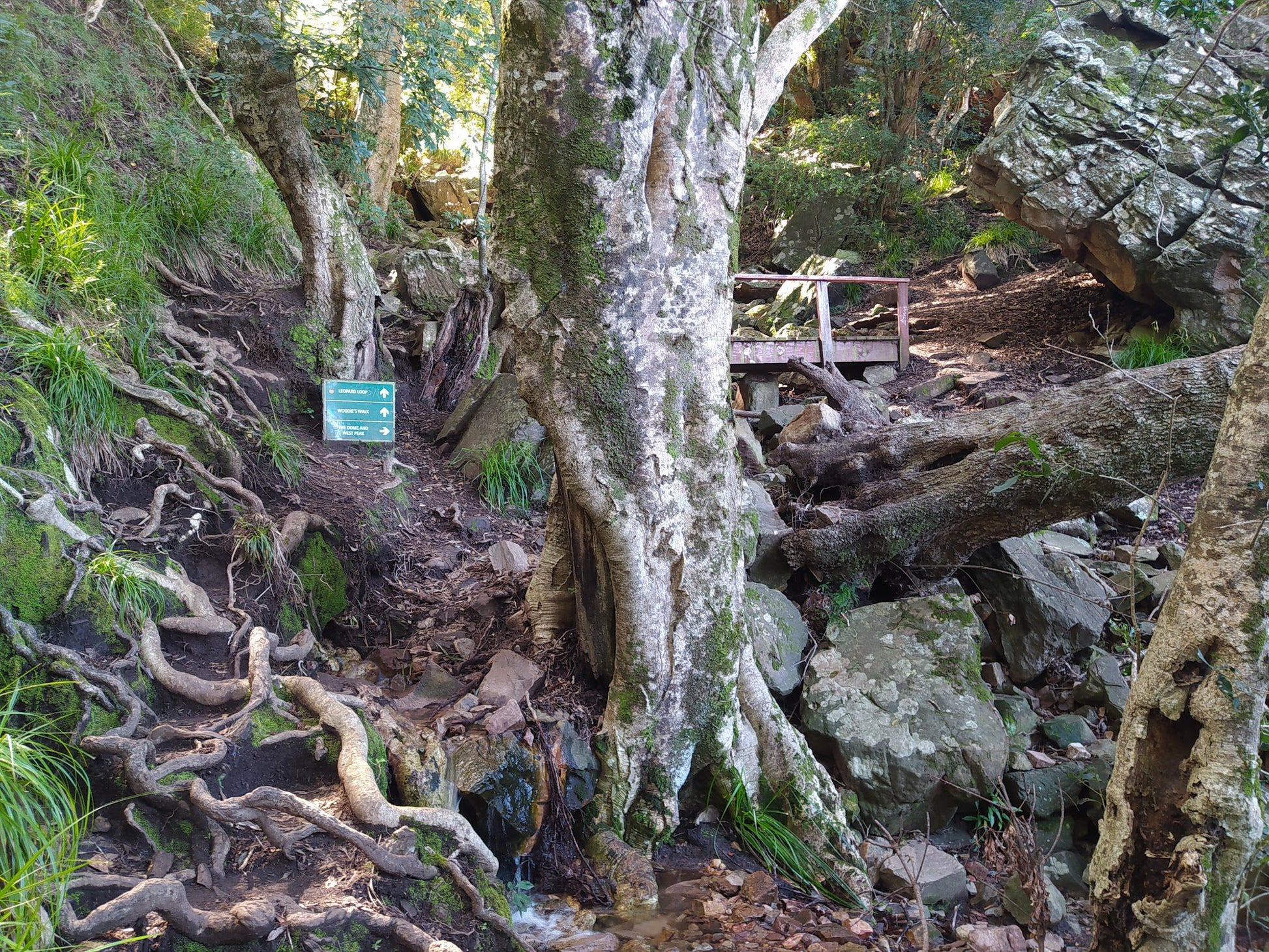  Helderberg West Peak