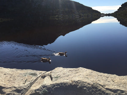  Hely-Hutchinson Reservoir (1898)