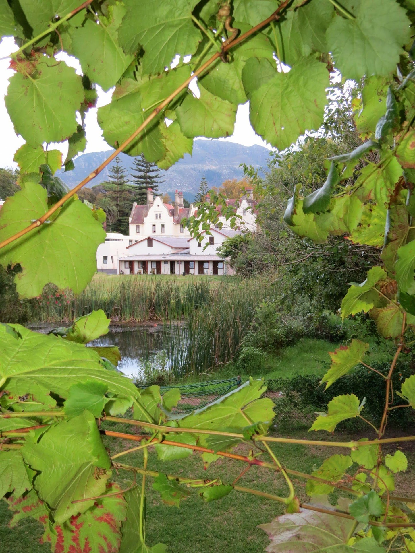  High Constantia Wine Cellar