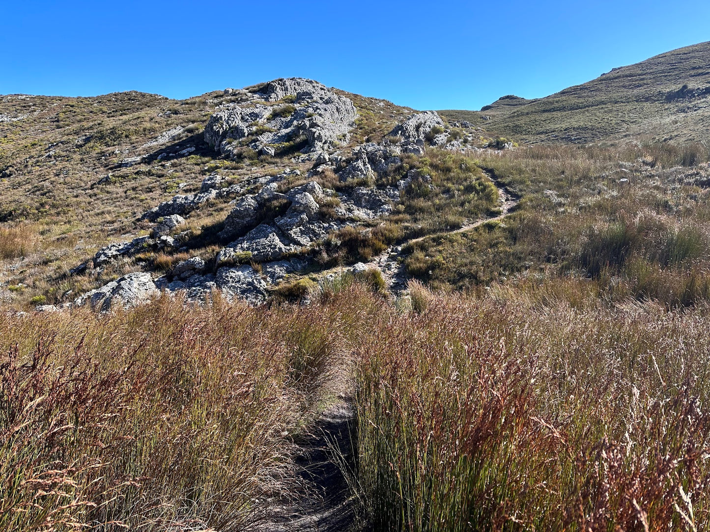 Hiking - Perdekop Hiking Trail - Mont Rochelle Nature Reserve