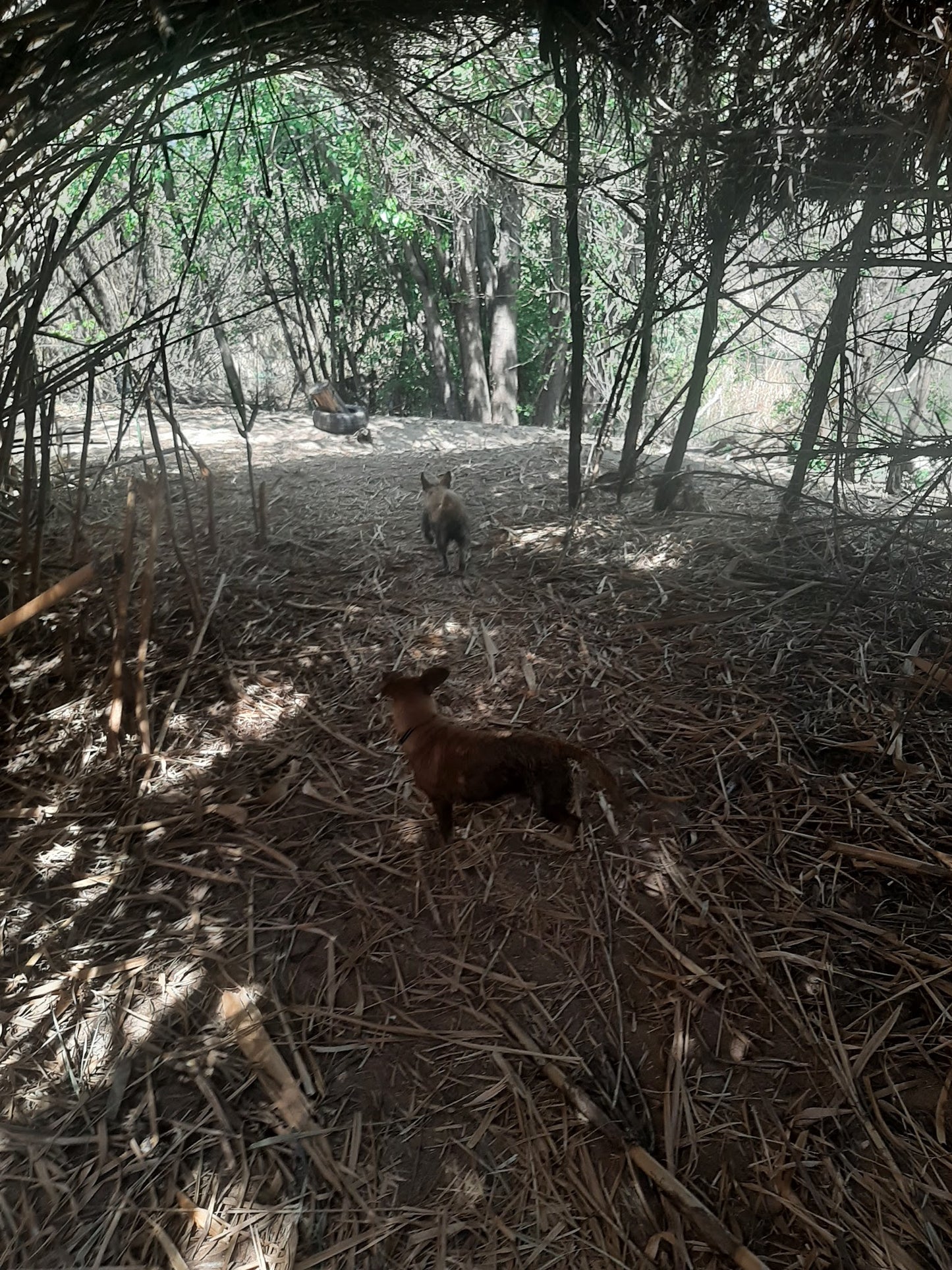 Hiking - Phaladingwe Hiking Trail Africaland