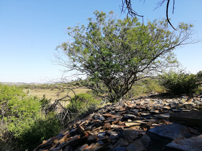 Hiking - Phaladingwe Hiking Trail Africaland