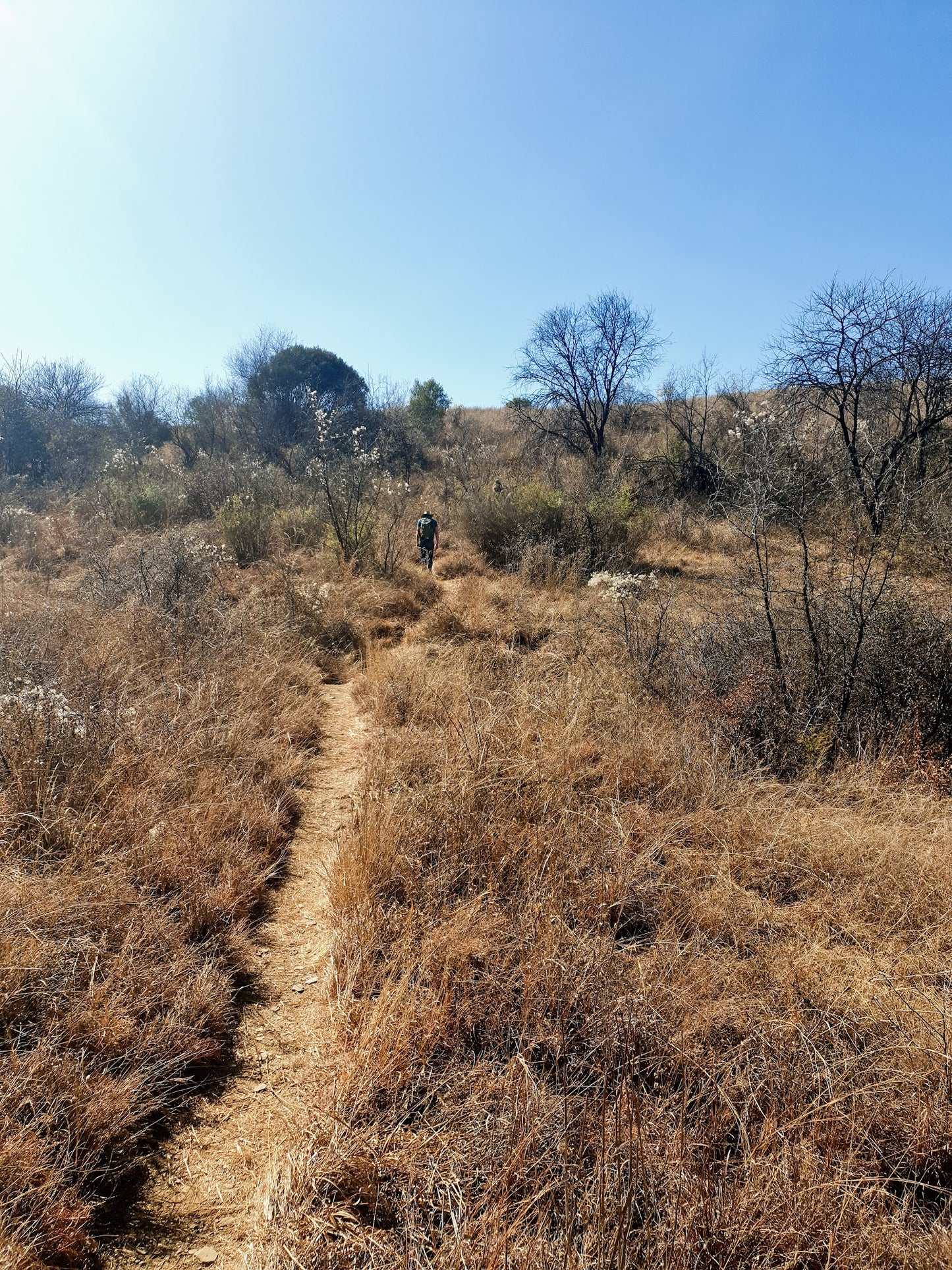 Hiking - Phaladingwe Hiking Trail Africaland