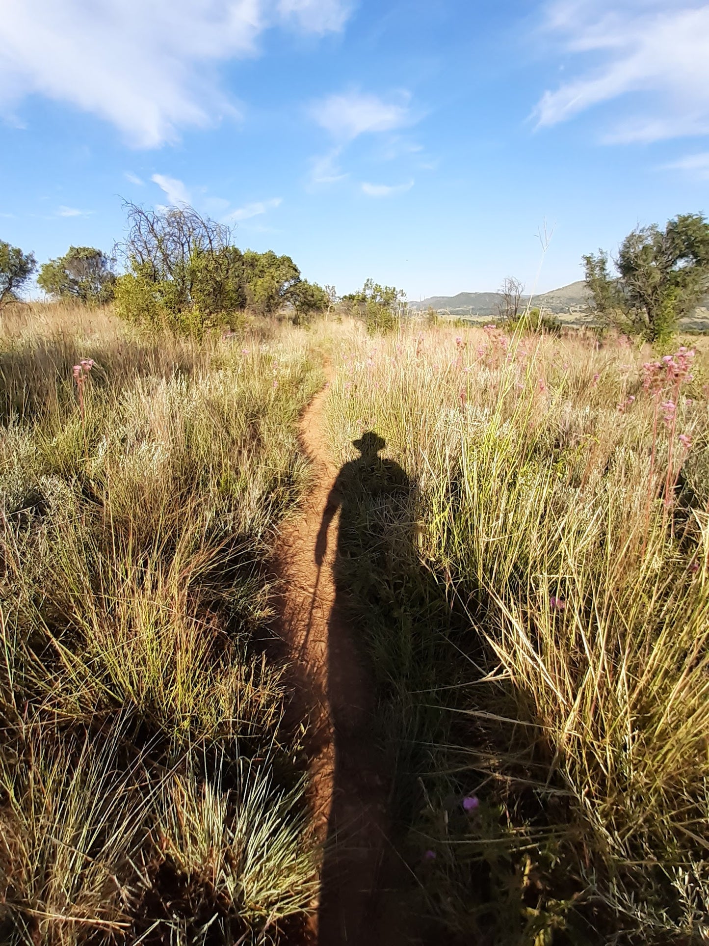 Hiking - Phaladingwe Hiking Trail Africaland