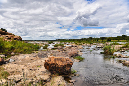  Hippo pools