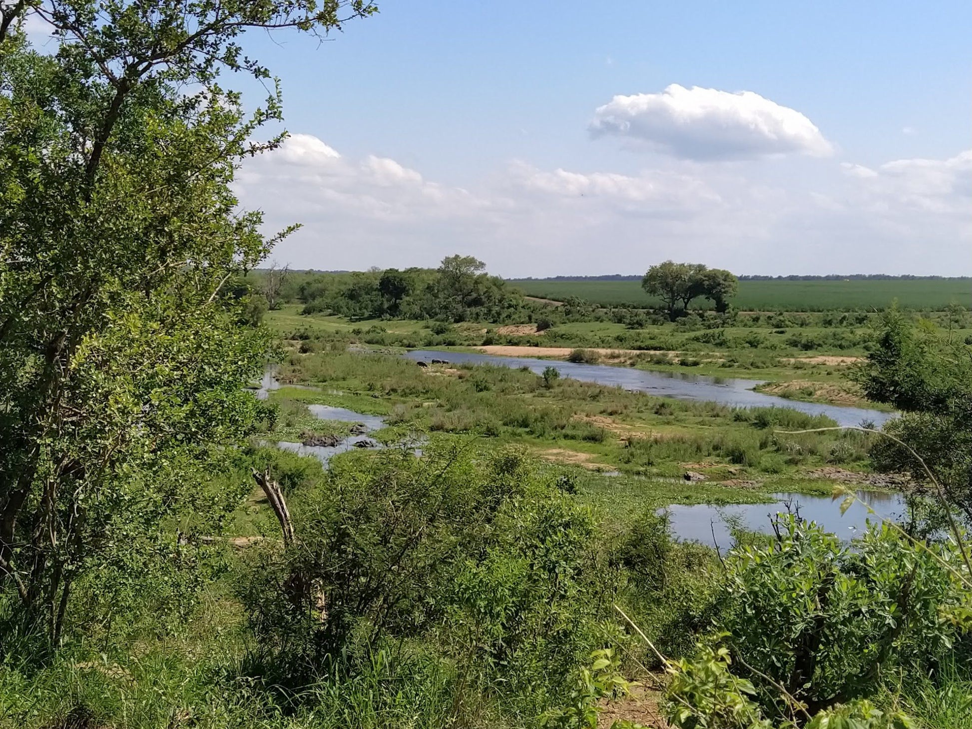  Hippo pools