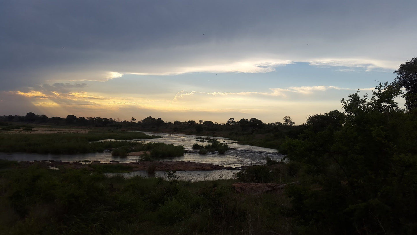  Hippo pools