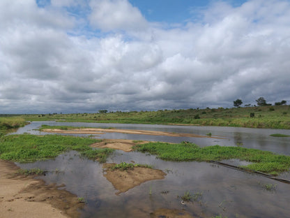  Hippo pools