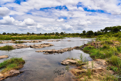  Hippo pools