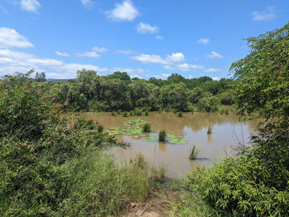  Hluhluwe Imfolozi Game Reserve