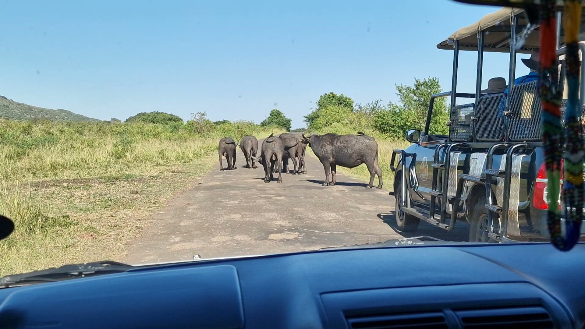  Hluhluwe Imfolozi Game Reserve