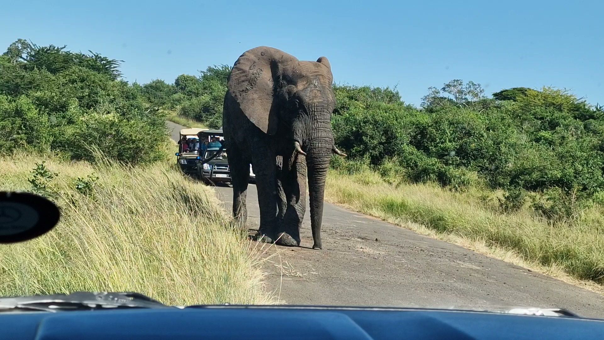  Hluhluwe Imfolozi Game Reserve