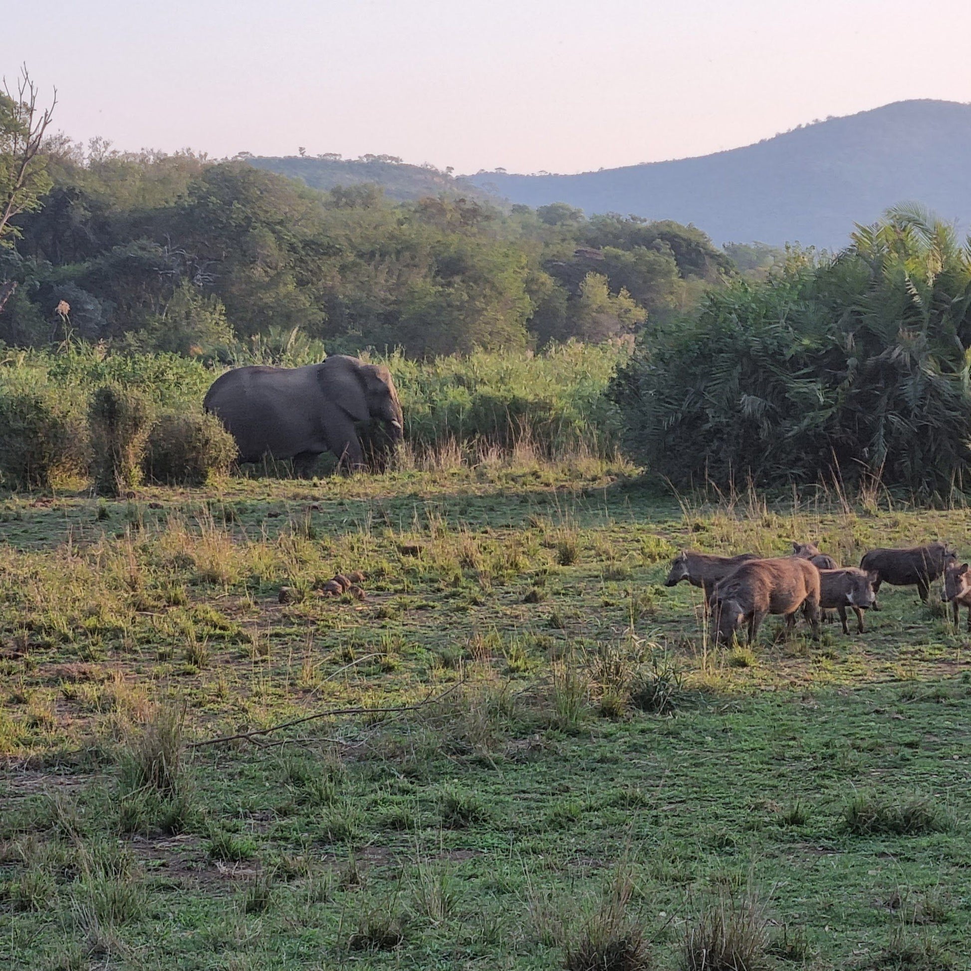  Hluhluwe Imfolozi Game Reserve