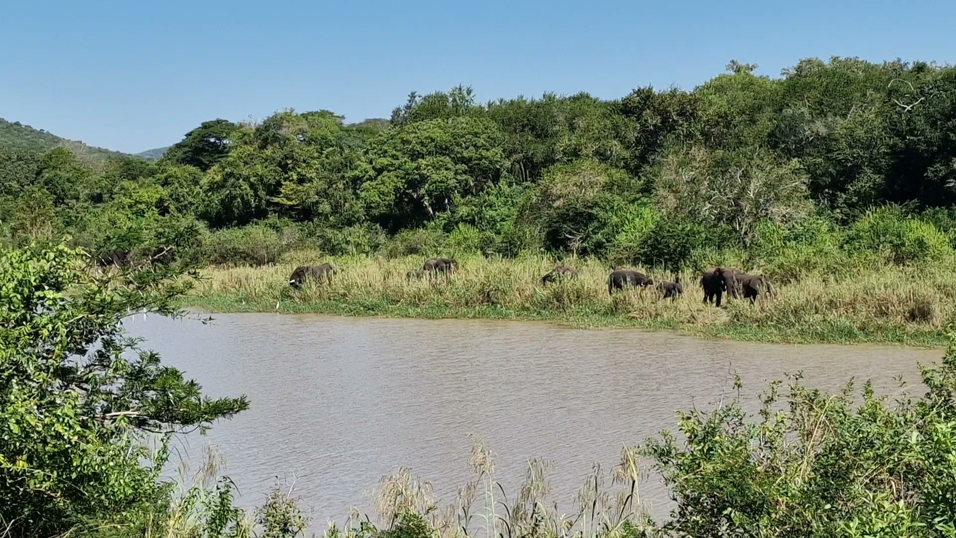  Hluhluwe Imfolozi Game Reserve