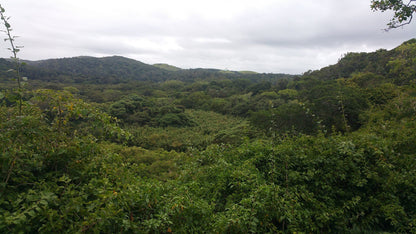  Hluleka Nature Reserve